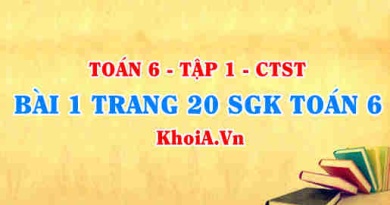 Bài 1 trang 20 SGK Toán 6 Tập 1 Chân trời sáng tạo